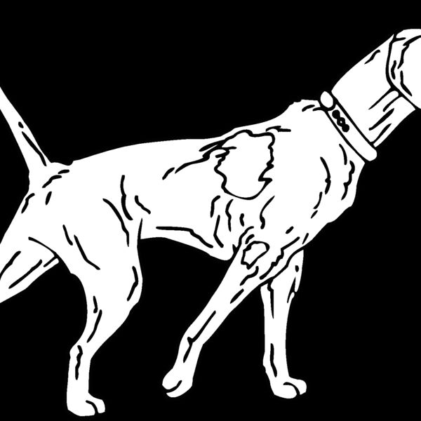 pointer Thumbnail