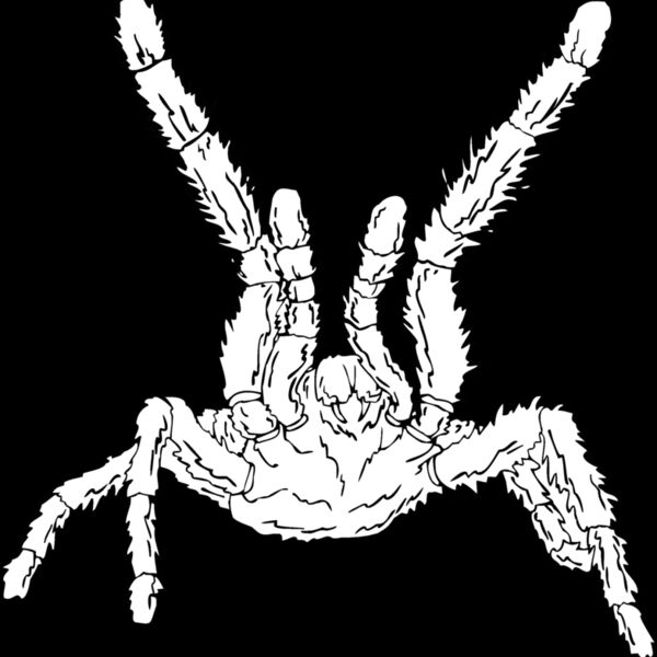 taratula Thumbnail