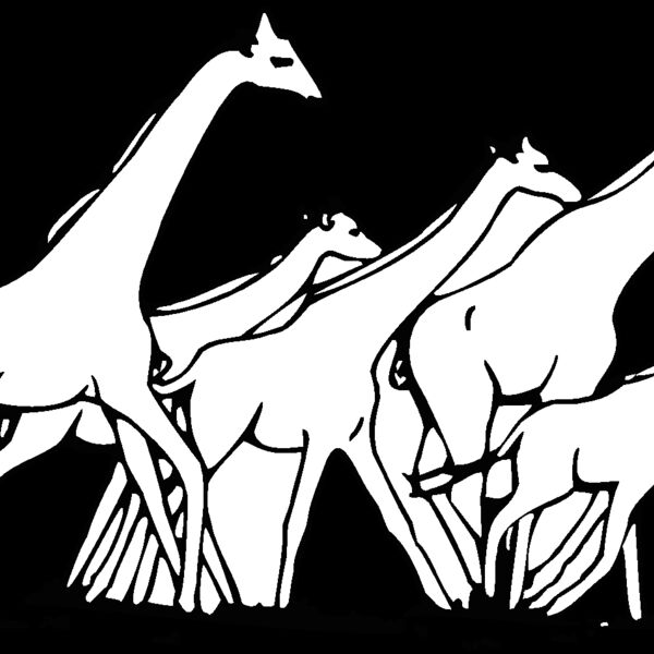giraffes Thumbnail