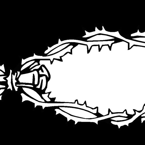 thornfish Thumbnail