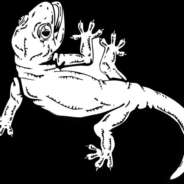 lizard4 Thumbnail