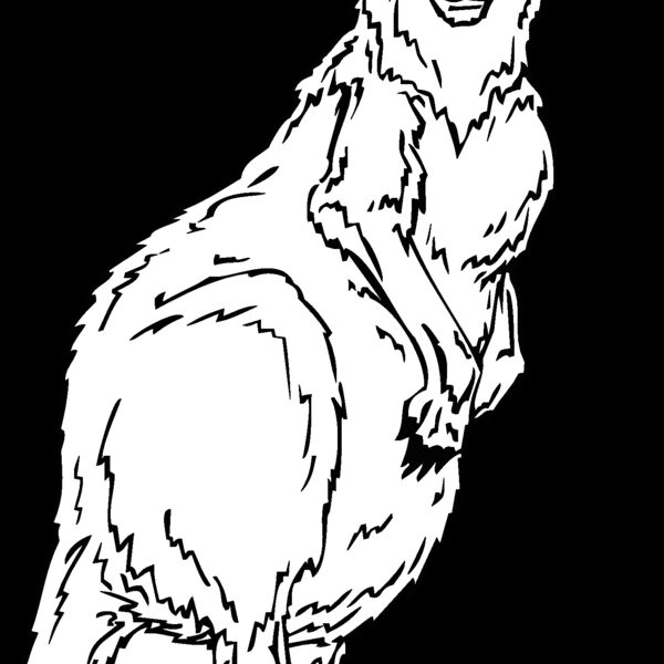 kangaroo2 Thumbnail