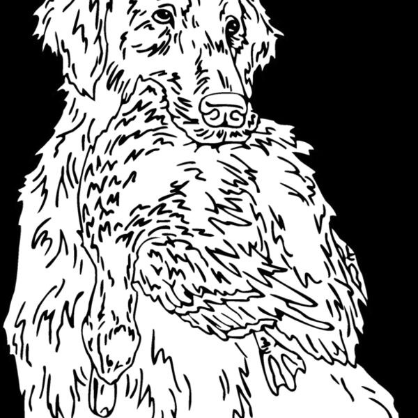 retrieve Thumbnail
