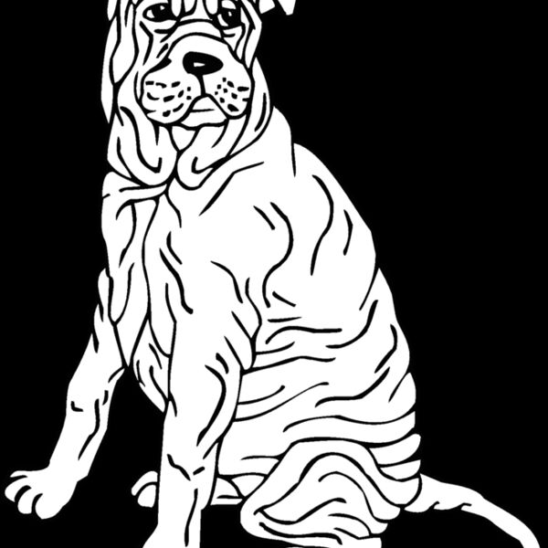 shar pei Thumbnail