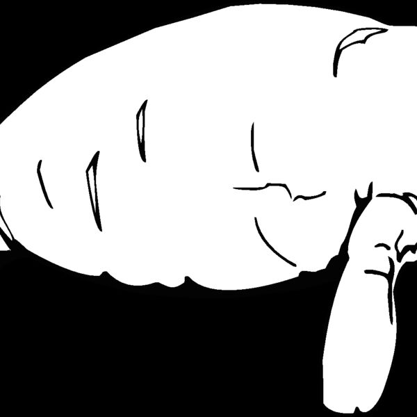 manatee Thumbnail