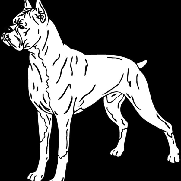 boxer2 Thumbnail