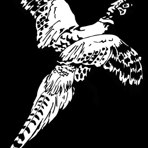 pheasant Thumbnail