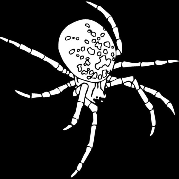 spider2 Thumbnail