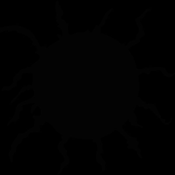 sunny Thumbnail