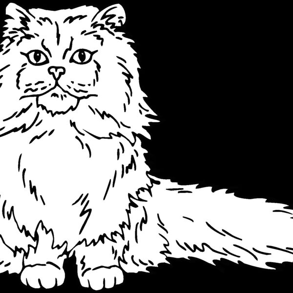 persian Thumbnail