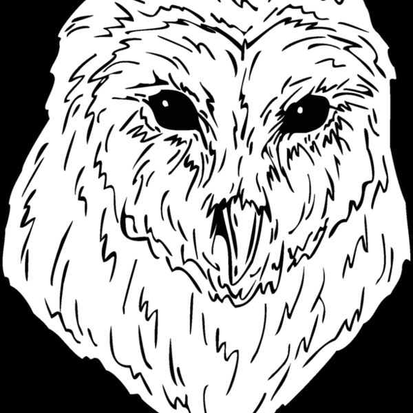 barn owl Thumbnail