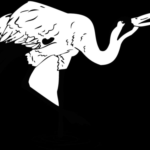 bird6 Thumbnail