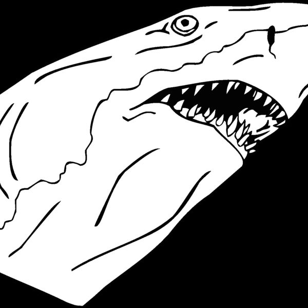 shark3 Thumbnail