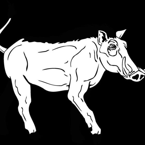 warthog Thumbnail