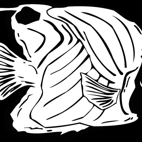 fish11 Thumbnail
