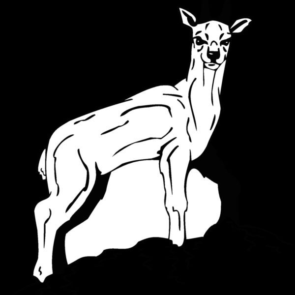 deery Thumbnail