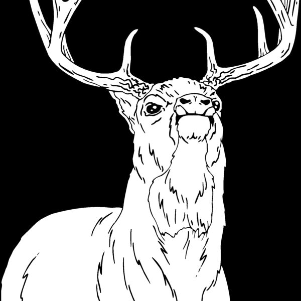 buck Thumbnail
