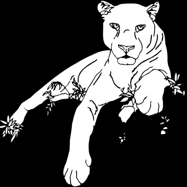 panther Thumbnail