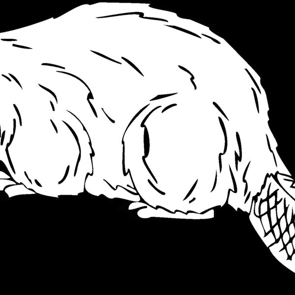 beaver Thumbnail