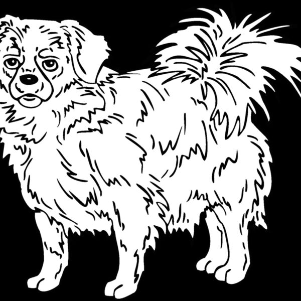 tibetan  Thumbnail