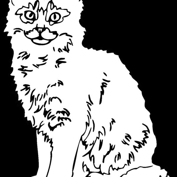 sumali k Thumbnail