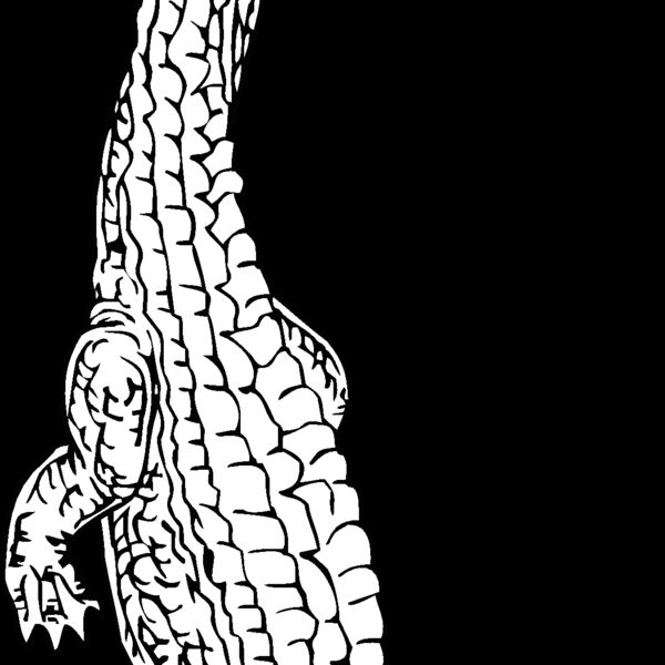 crocodil Thumbnail