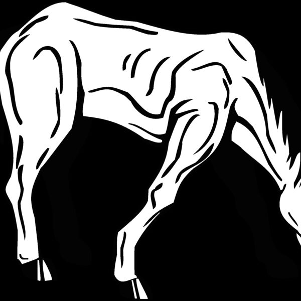 horse4 Thumbnail