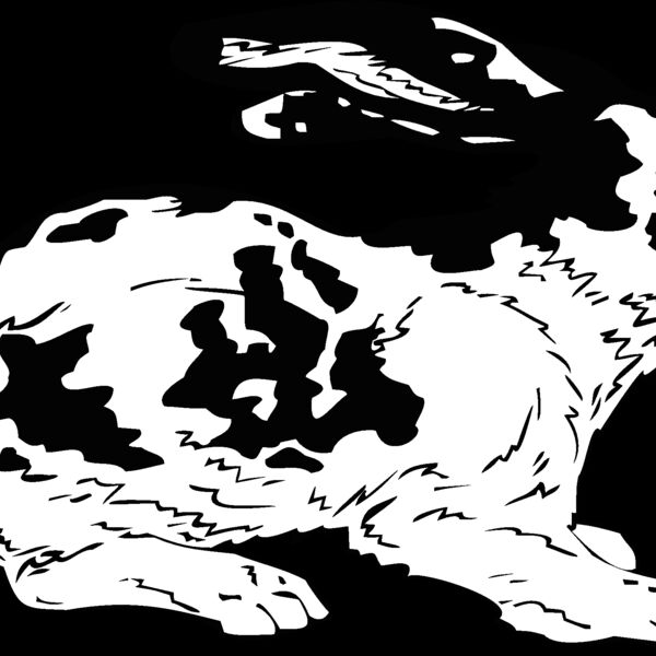 bunny Thumbnail
