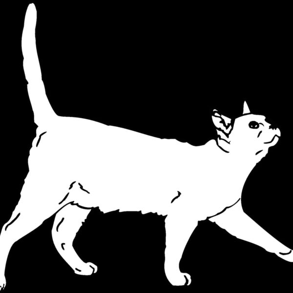 burmese2 Thumbnail