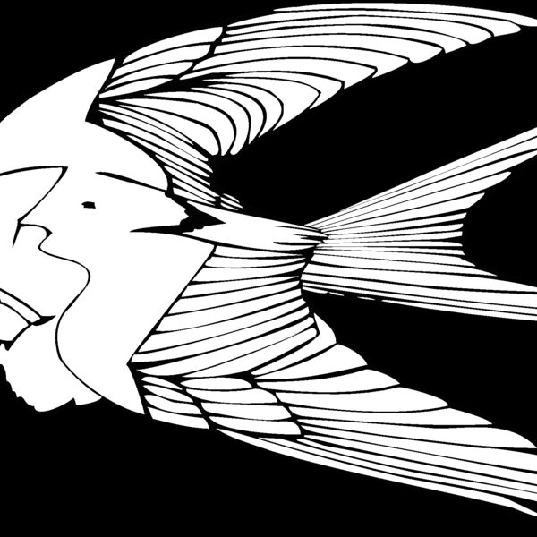 birdeatingworm Thumbnail