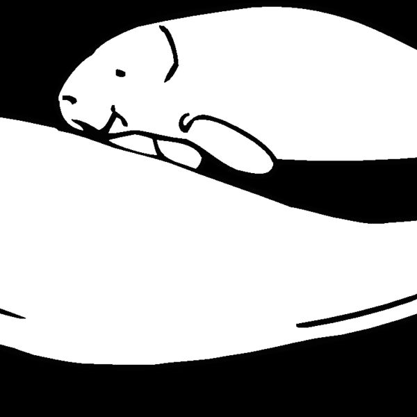 manatees Thumbnail