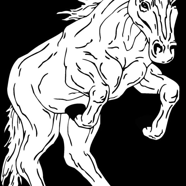 horse9 Thumbnail