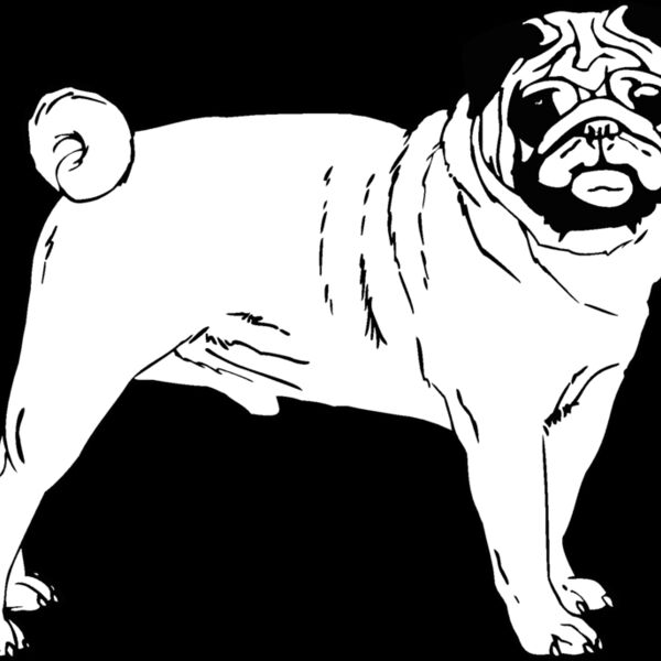 pug2 Thumbnail