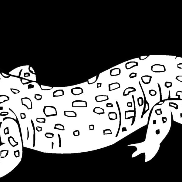 lizard3 Thumbnail