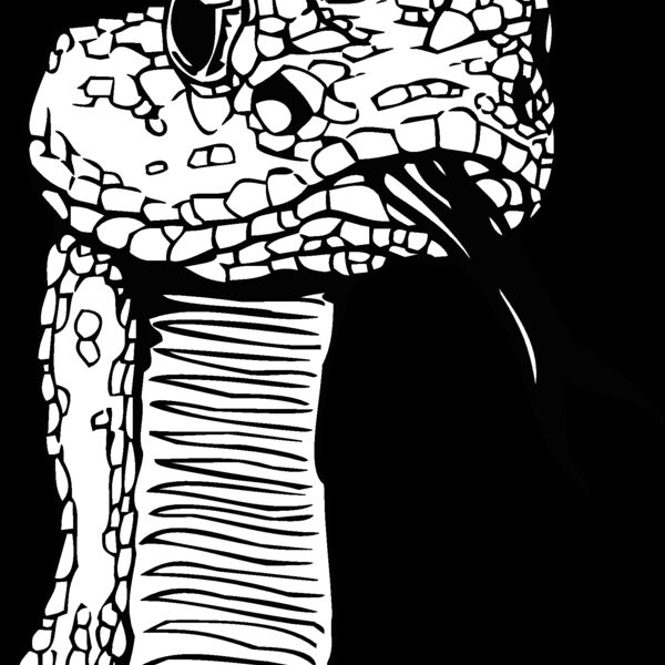 snakehea Thumbnail