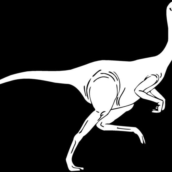 ornithom Thumbnail
