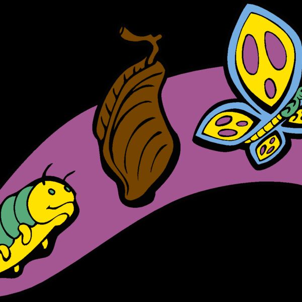 symbol7 Thumbnail