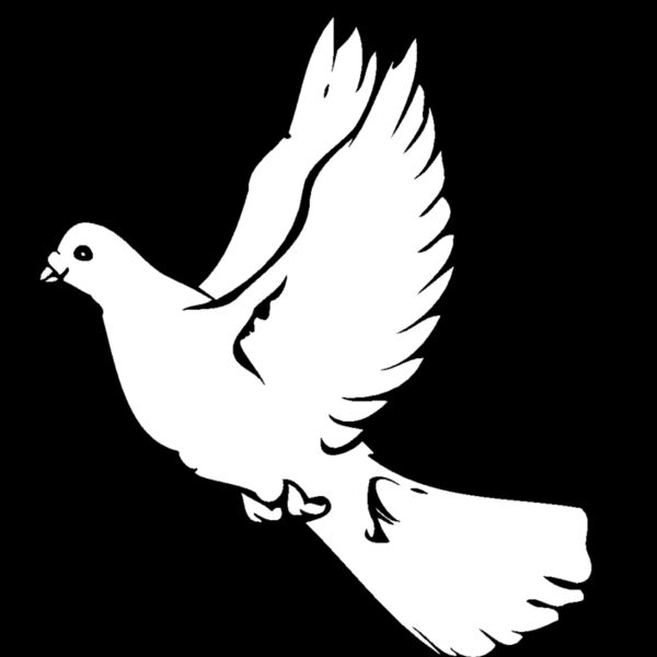 dove Thumbnail