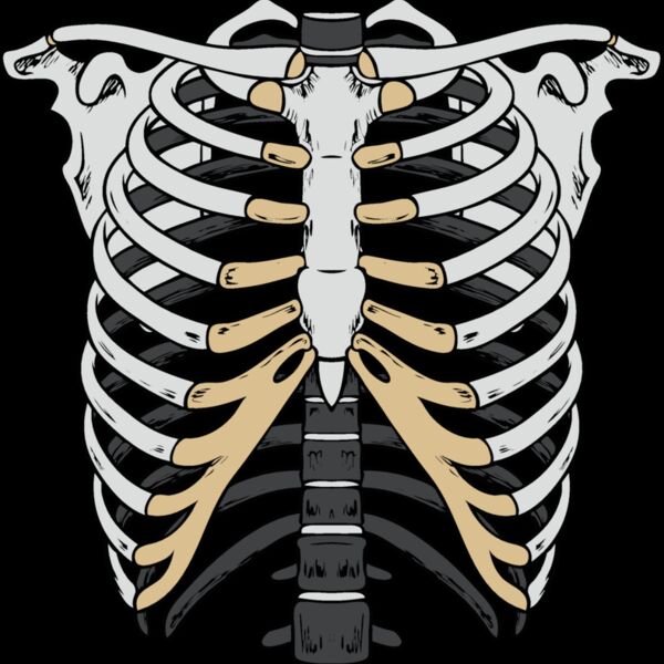 es2bones003clr Thumbnail