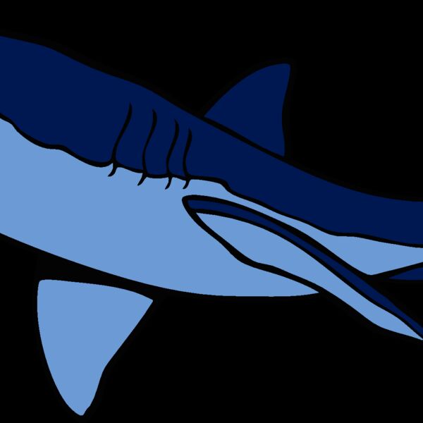 shark17 Thumbnail