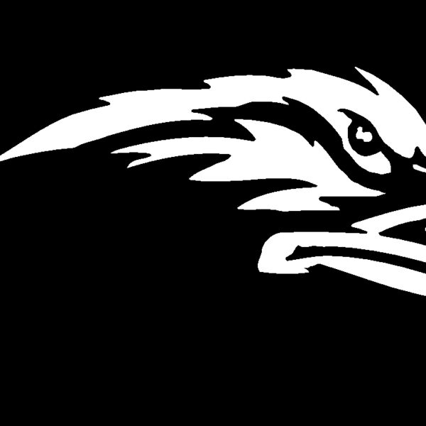 raven Thumbnail