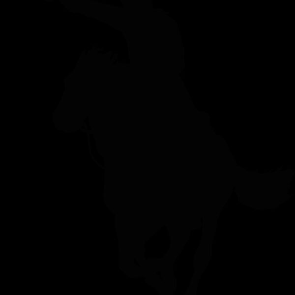 cowboy1 Thumbnail