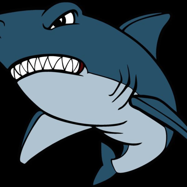 shark8 Thumbnail