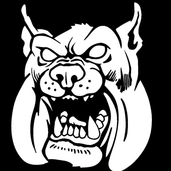 bdghd33 Thumbnail