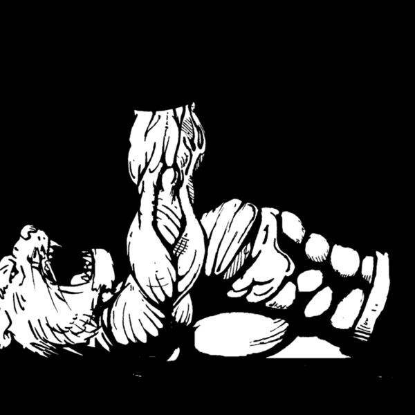 pnwt3 Thumbnail
