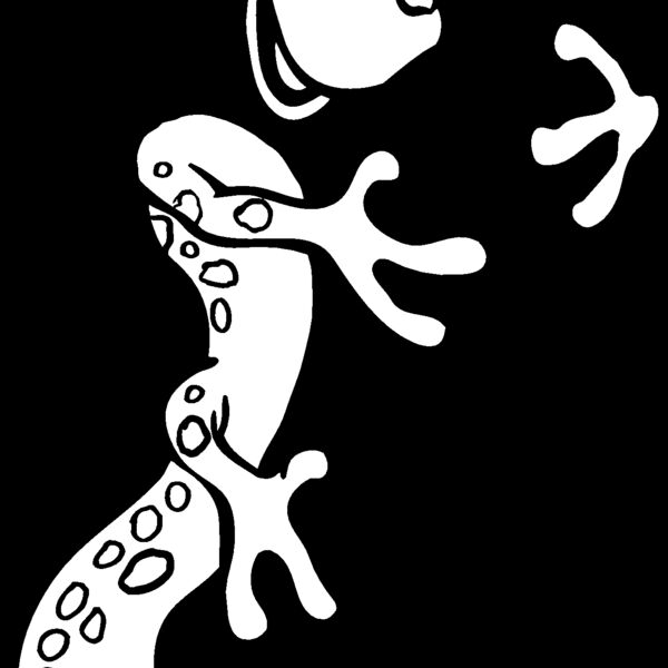 gecko1 Thumbnail
