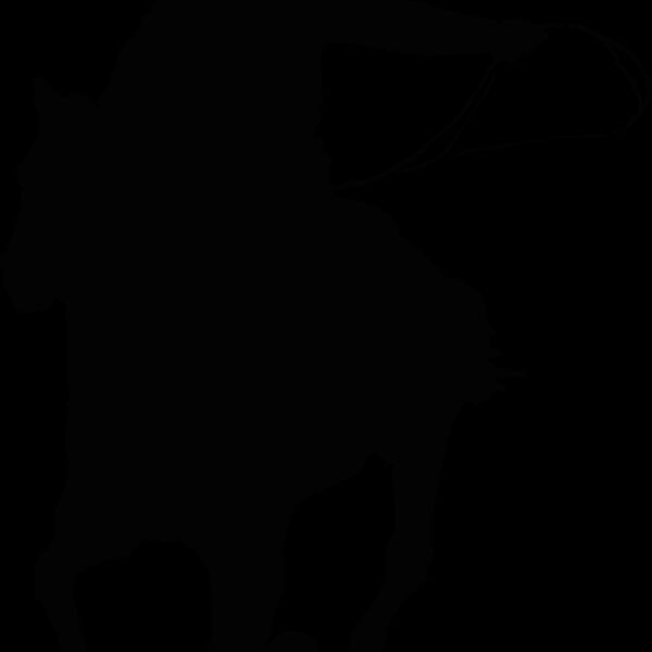 cowboy2 Thumbnail