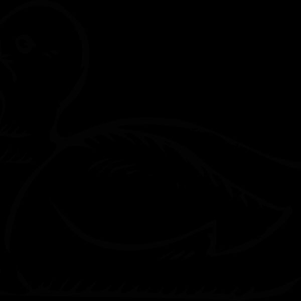 duck1 Thumbnail