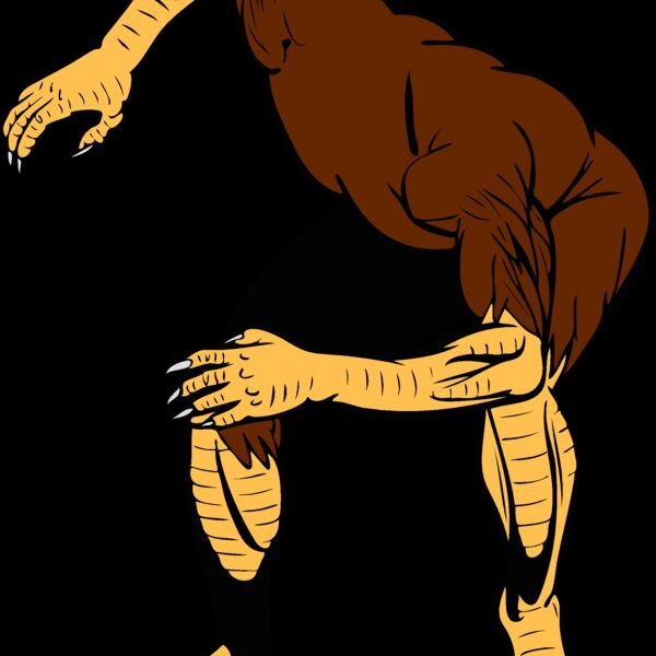 birdbody Thumbnail