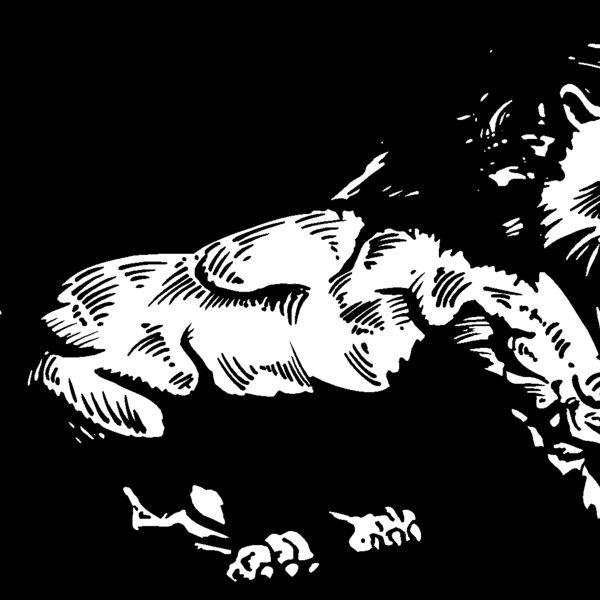 lion03 Thumbnail